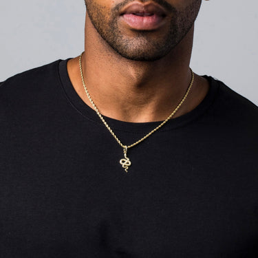 Micro Snake Pendant in Yellow Gold